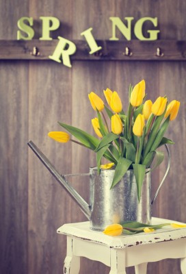moestuin-in-april-tips-wat-planten-en-zaaien