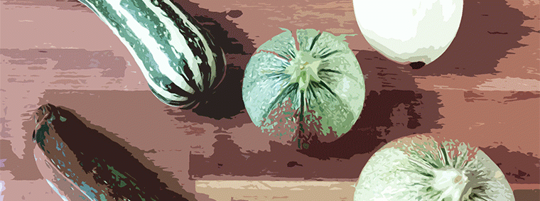 courgettes kweken planten recepten