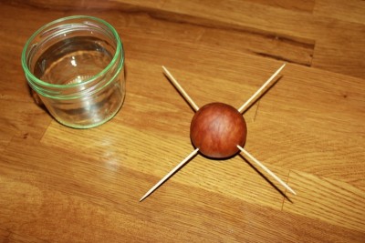 avocado planten kweken hoe doe je dat zelf met tandenstokers en een glas water