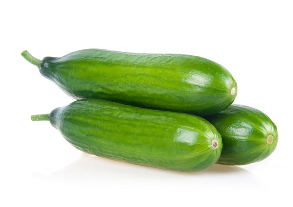 Courgettes in juni